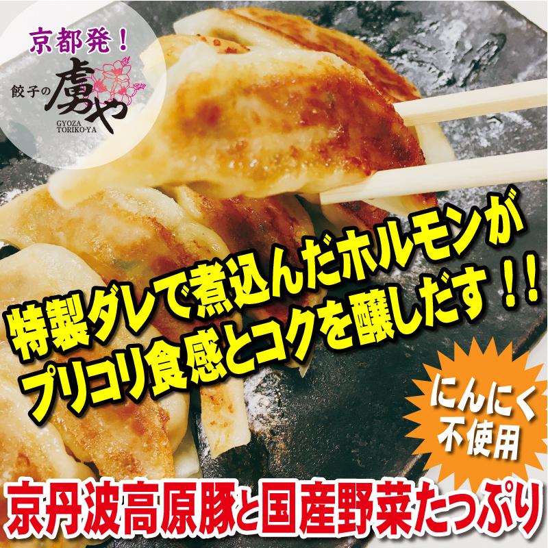 京都 餃子　ホルモン餃子（60個入） 送料無料