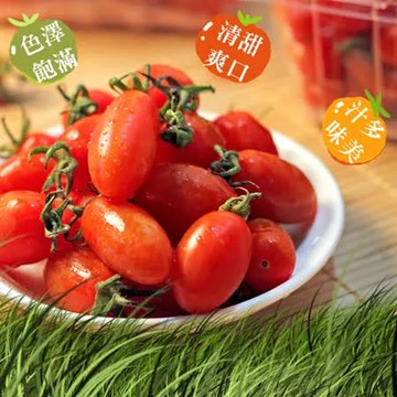 【鮮果日誌】玉女小番茄(10盒入原箱)