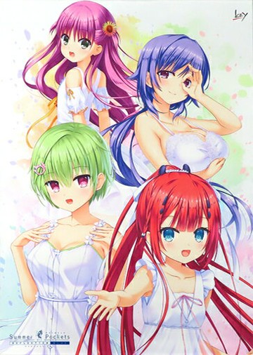 Summer Pockets REFLECTION BLUE VISUAL FANBOOK插圖B2掛畫Summer Pockets REFLECTION BLUE視覺藝術冬季節2022&C101商品