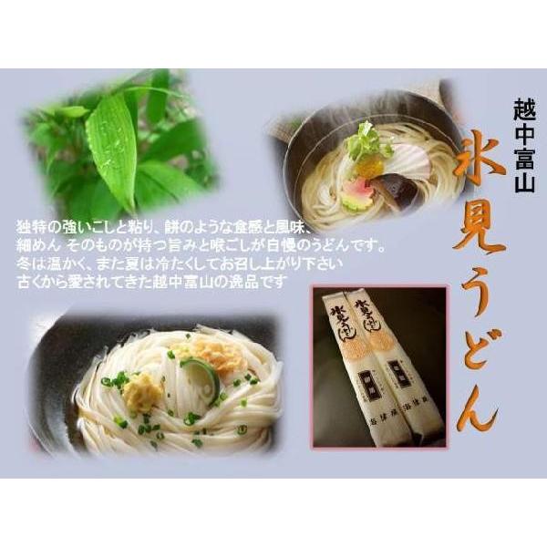 氷見（ひみ）うどん細麺２００g 麺 うどん 手延べうどん 富山名産 海津屋