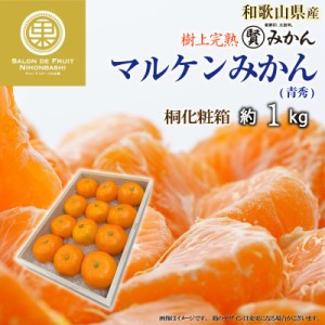 [予約 2023年 12月31日必着] マル賢青秀 約1kg 桐箱 SML 樹上完熟 マルケン和歌山県産