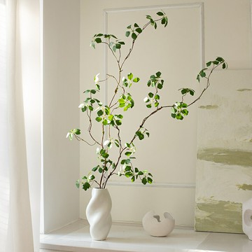 花架Na家花房仿真綠色植物觀音蓮家居飾品客廳禪意擺件室內假綠植裝飾