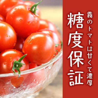 ふるさと納税 西脇市 霧のトマト(糖度8保証) 200g×12パック