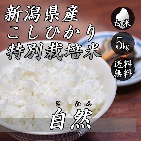 お米 5kg 新潟産 コシヒカリ 特別栽培米 自然コシヒカリ 5kg×1袋 送料無料 令和5年産 米 白米