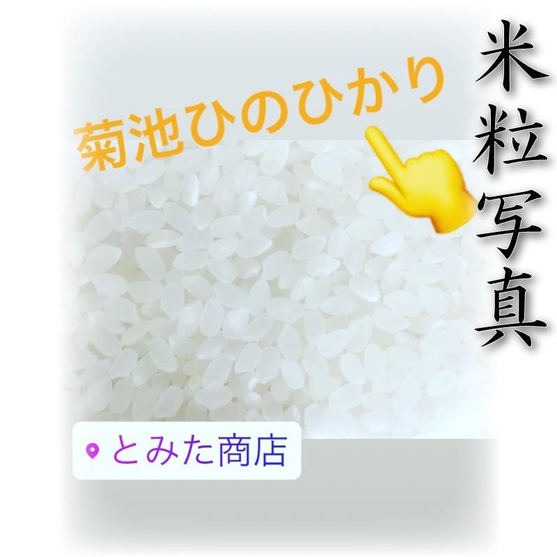 お米 米 10kg 白米 送料無料 熊本県 菊池産 ひのひかり あすつく 新米 令和5年産 ヒノヒカリ 5kg2個 産地限定米 くまもとのお米 富田商店 とみた商店