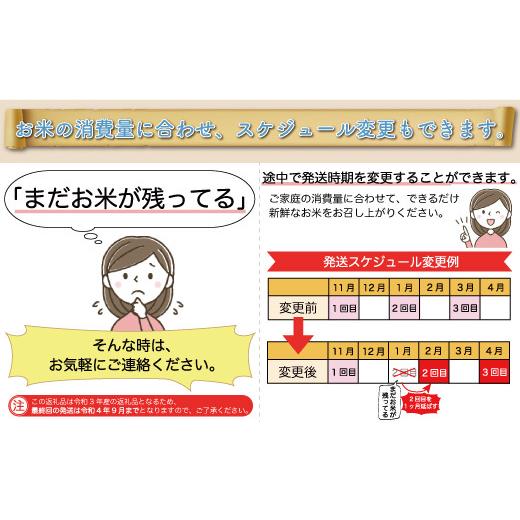 ＜配送時期が選べて便利な定期便＞  令和5年産 特別栽培米 つや姫 定期便 60?（20kg×2カ月間隔で3回お届け） ＜配送時期指定可＞ 山形県 真室川町