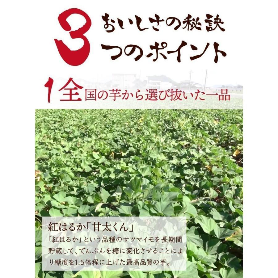 焼き芋 2種食べ比べ エレガンンス葵 吉四六 ねっとり甘い  冷蔵 冷やし焼き芋 ひえひえ君 1kg 送料無料