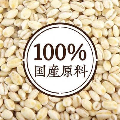 ふるさと納税 富士吉田市 国産かけるだけもち麦 50g×10袋