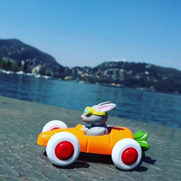 瑞典 Viking toys 動物賽車手-蘿蔔瑞比-14cm 81361