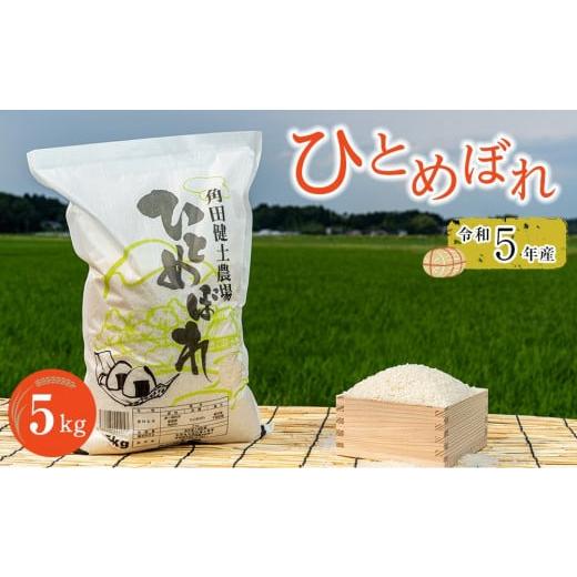 ふるさと納税 宮城県 角田市 令和5年産　ひとめぼれ　5kg×1袋