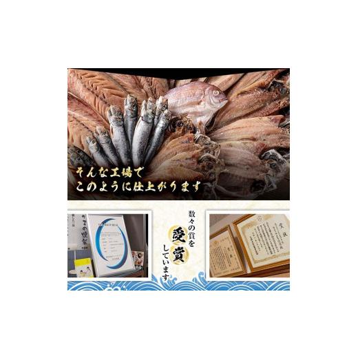 ふるさと納税 大分県 佐伯市 ＜定期便・全3回 (隔月)＞訳あり 干物大満足BOX (40尾以上)