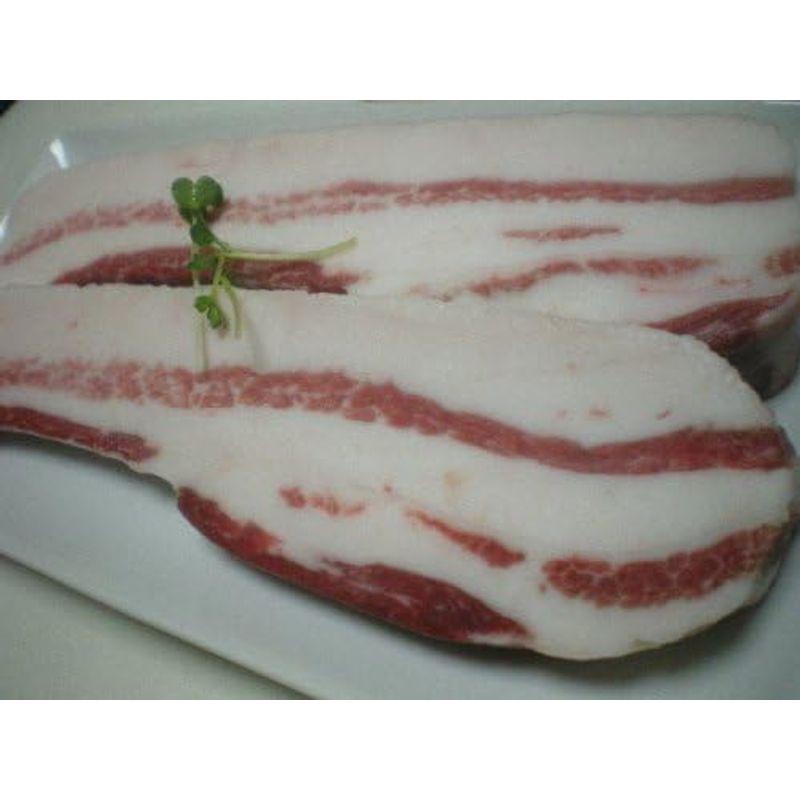 スペイン産イベリコ豚 バラ肉（三枚肉） 焼肉用 500g ベジョータ