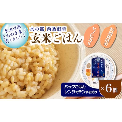 ふるさと納税 愛媛県 西条市 「石鎚銀しゃり米」 玄米ごはん パックごはん 6個セット　ヒノヒカリ 特別栽培米 玄米 