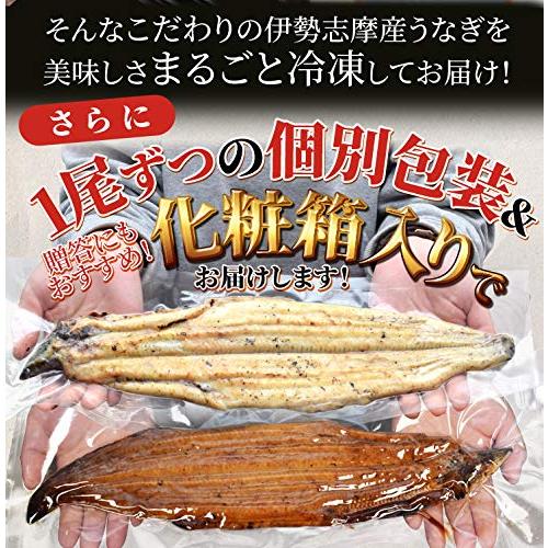 うなぎ セット 伊勢志摩産 特大サイズ２尾（たれ１尾 白焼き１尾） たれ付 冷凍 国産 ウナギ 鰻 蒲焼き 丑の日 個包装 冷凍 化粧箱入 ギフト プ