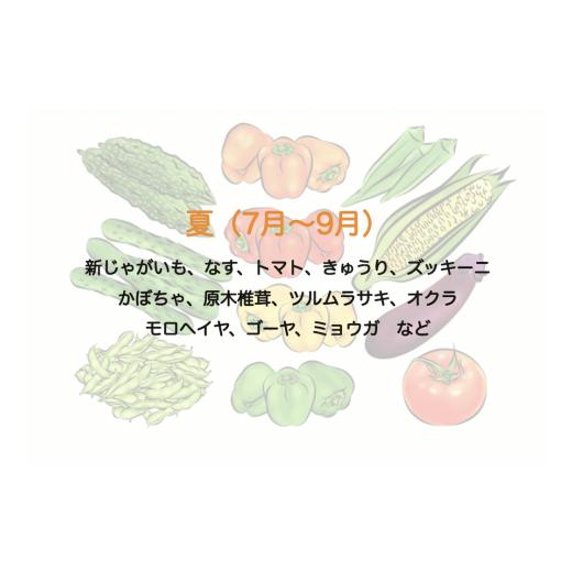 ふるさと納税 静岡県 南伊豆町 湯の花　旬の野菜セット2か月間の定期便