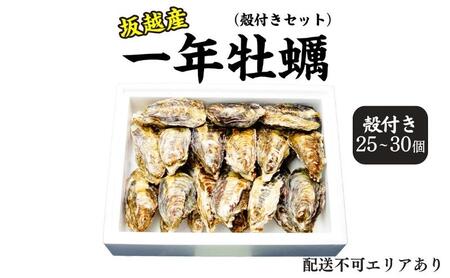 牡蠣 坂越かき 殻付き (25個～30個) 冬牡蠣