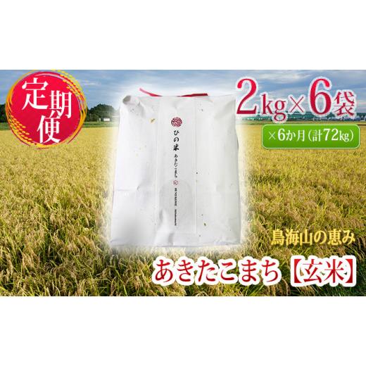 ふるさと納税 秋田県 にかほ市 《定期便》12kg×6ヶ月 秋田県産 あきたこまち 玄米 2kg×6袋 神宿る里の米「ひの米」（お米 小分け）