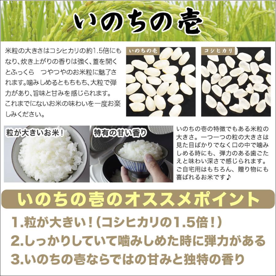 新米 令和5年産 お米 5kg 新潟産 いのちの壱 送料無料（北海道、九州、沖縄除く）