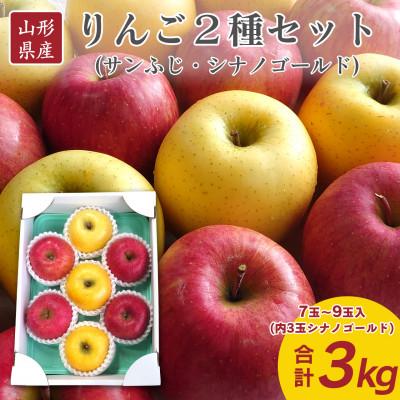 ふるさと納税 寒河江市 山形県産 りんご2種セット(サンふじ シナノゴールド) 3kg