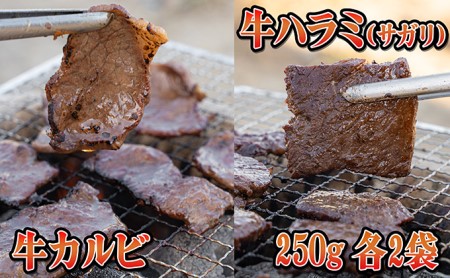 今夜は焼肉！5種類の豪華焼肉セット