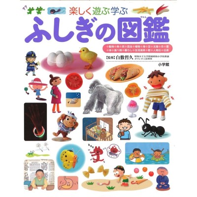 3冊セット こどもずかん 3冊セット 3歳 4歳 5歳 幼児 発音 子共 児童書 絵本 図鑑 英語 知育 バーゲンブック バーゲン本 通販 Lineポイント最大0 5 Get Lineショッピング