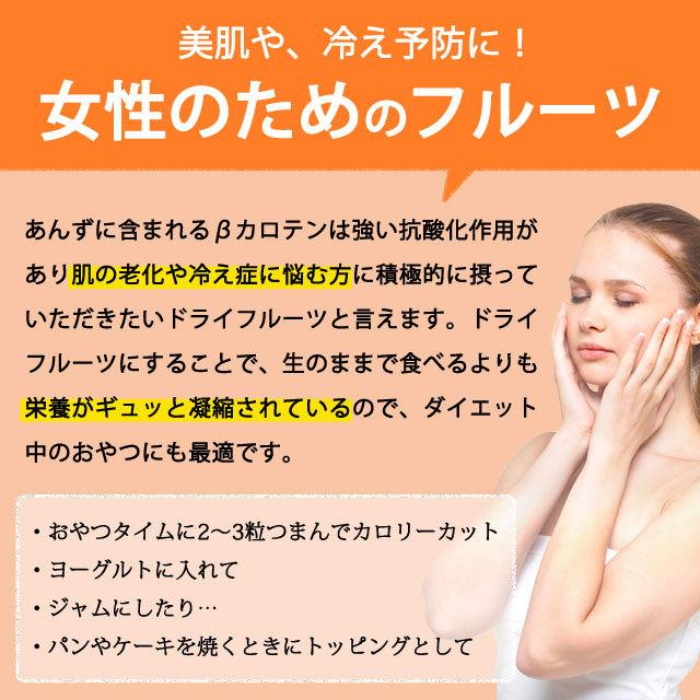 おつまみ お試し ドライアプリコット 砂糖不使用 種抜き 200g 送料無料 トルコ産 ドライフルーツ あんず 杏子 杏 SALE 非常食