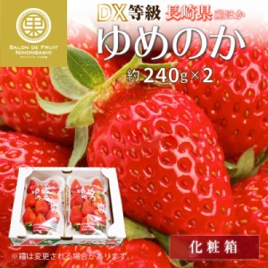 [予約 2024年2月11日-2月14日の納品] バレンタインデー ゆめのか 約 240g×2 大粒サイズ DX または G 長崎県 産ほか 果実専用箱 大粒 苺