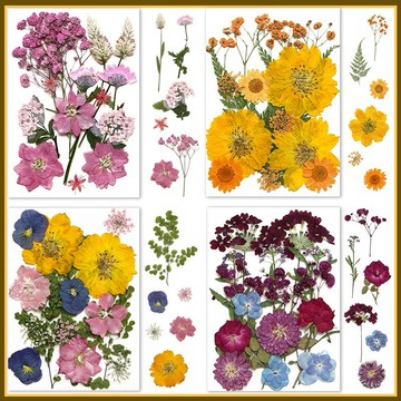 【手賬系列】 花包組合 真花壓花 永生花 森林系 少女寫真 壁畫 DIY水晶滴膠 乾燥花 植物標本