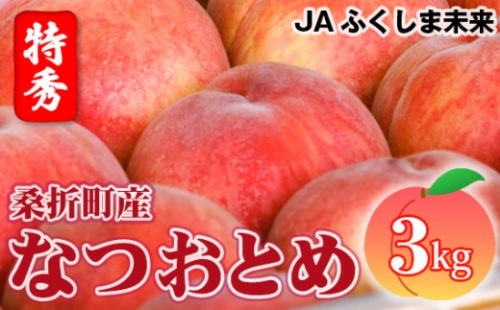 No.170 もも（なつおとめ）特秀　3kg　桑折町産　JAふくしま未来　桃 ／ 果物 フルーツ モモ 福島県 特産品