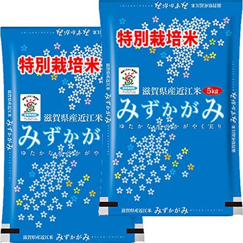 新米 令和5年産 特別栽培米 滋賀産 みずかがみ 10kg (5kg×2) 近江米 認証米 (玄米のまま（5kg×2）)