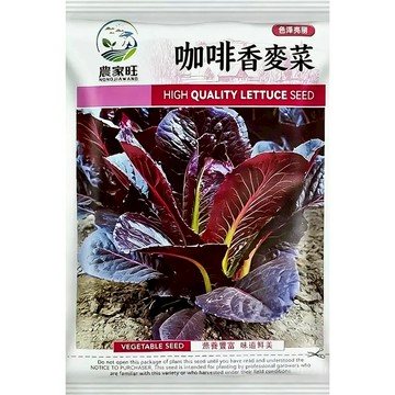 【咖啡香氣蔬菜】原裝咖啡香麥菜種子｜獨特榛果香 生吃火鍋都美味｜耐熱快收 陽台盆栽｜台灣育種 現貨速發 附簡易懶人種法