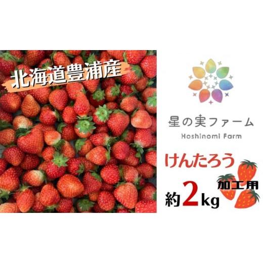 ふるさと納税 北海道 豊浦町 2024年5月上旬から出荷 北海道 豊浦 いちご 加工用 小粒 けんたろう 250g×8パック 約2kg 農園直送 採れたて 新鮮 産直 苺 ストロ…