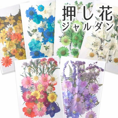 押し花 リアルフラワー60枚以上 オーダーメイド Dev Avotaco Com