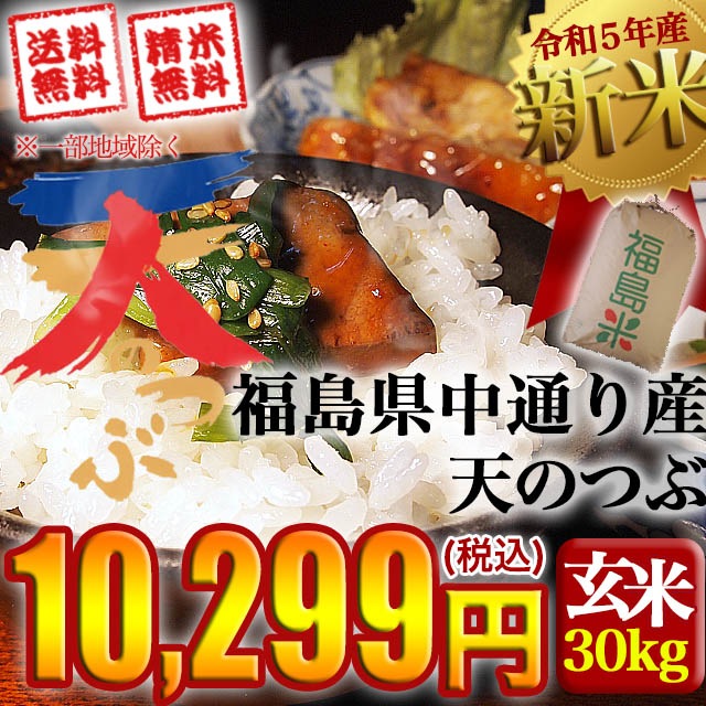 新米 令和5年産 福島県中通り産 天のつぶ 玄米:30kg(白米:約27kg) 沖縄離島対応不可