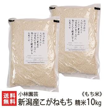 新潟産こがねもち（もち米）精米10kg 小林園芸 送料無料