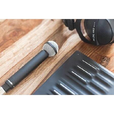 Beyerdynamic M160 Double Ribbon Microphone Hypercardioid by beyerdynamic