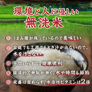  金芽米特別栽培米農林48号2kg×5