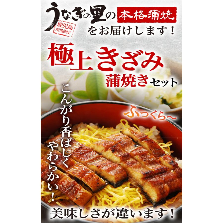 父の日 プレゼント ギフト うなぎ  蒲焼き 国産 きざみ蒲焼き5食　(山葵×5 きざみ海苔×5) 鹿児島産ブランド鰻 60代 クール