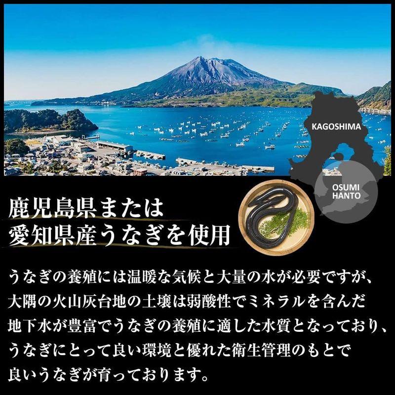 ますよね うなぎ蒲焼き 鹿児島・愛知県産 165g前後×2尾 計330g前後 ギフト用化粧箱入り 国産 ウナギ うなぎ 蒲焼き 冷凍 冷凍食