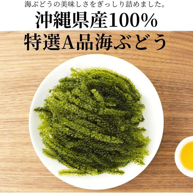 沖ピ 特選A品 海ぶどう 100％沖縄県産 専用シークヮーサータレ付き (360g(120g×3パック))