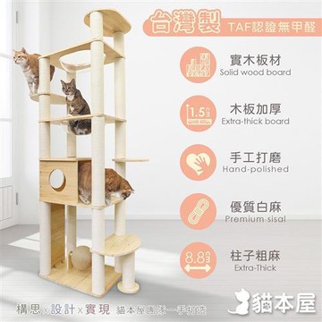 貓本屋 台灣製 旗艦款 雙橢圓太空艙加粗白麻柱貓屋實木貓跳台(附劍麻抓板/球)