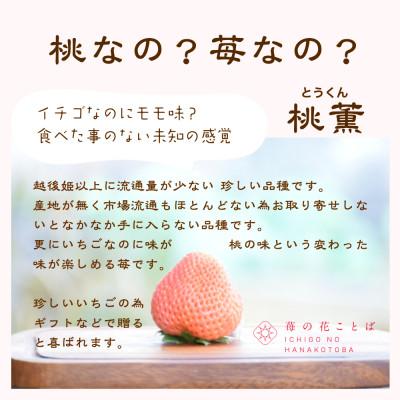 ふるさと納税 上越市 越後姫・桃薫食べ比べギフトセット　380g入り　粒数9〜15粒入り