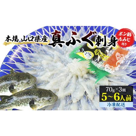 ふるさと納税 山口県産 真ふぐ 刺身 210g (70g×3皿) 山口県萩市