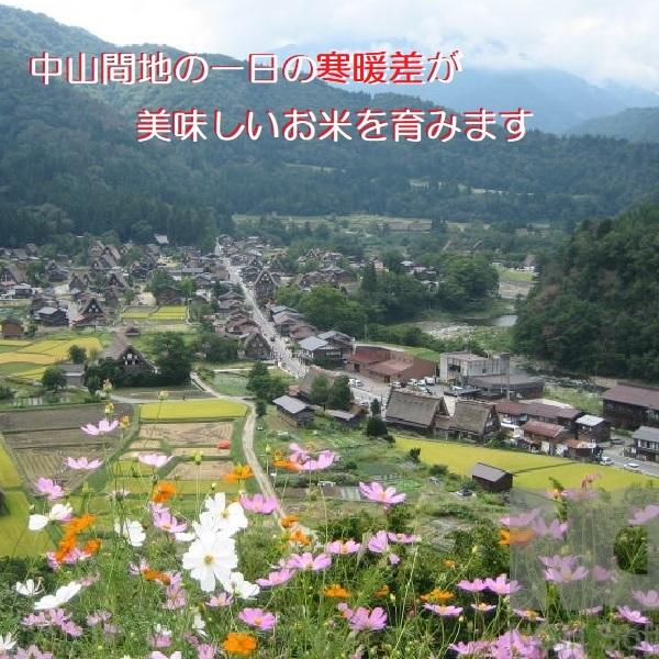 コシヒカリ 令和５年新米 玄米：残留農薬ゼロ(検査証明書付)  30k エコ栽培 能登里山の米