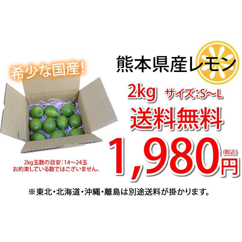 レモン 国産レモン 送料無料 2kg S〜L 3箱購入で1箱おまけ 熊本県産 減農薬 防腐剤ワックス不使用 れもん グリーンレモン 国産