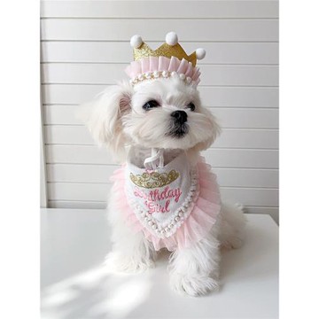 ins狗狗生日口水巾派對三角巾刺繡精致皇冠貓咪狗狗寵物蕾絲套裝