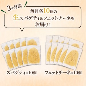 生スパゲティ 10個 × 生フェットチーネ 10個　K036-T06 生パスタ パスタ スパゲティ 生スパゲティ 麺 生麺 もちもち 生食感 お店の味 鹿児島市 定期便