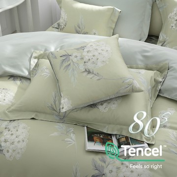 枕套2入/ 天絲400織/ 天絲 萊賽爾 / 舒曼思 [鴻宇] 台灣製 - T20160