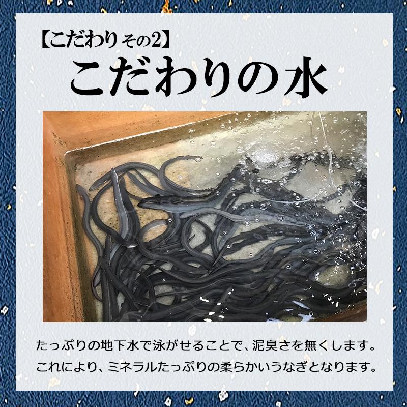 佐賀県鹿島峰松うなぎ屋「うなぎの蒲焼 （1尾入り）」テレビでも紹介された国産うなぎを産地からお届け！ 国産 ギフト 母の日 2022