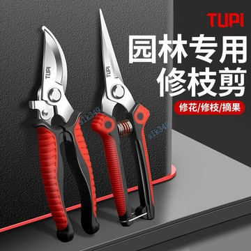 ⭐ 臺灣出貨⭐滿99出貨 進口SK5不鏽鋼園藝剪刀 修枝剪剪樹枝專用剪刀剪枝剪刀農用花藝剪